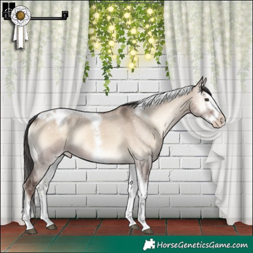 Horse Color:Liver Red Dun Onyx Splash Tobiano Appaloosa Rabicano 