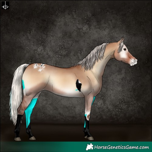 Horse Color:Silver Brown Onyx Tobiano Varnish Rabicano 
