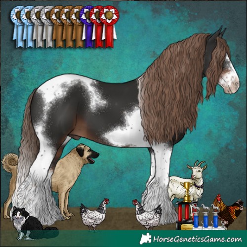 Horse Color:Liver Chestnut Splash Tobiano Frame 
