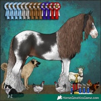 Horse Color:Liver Chestnut Splash Tobiano Frame 