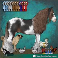 Horse Color:Liver Chestnut Splash Tobiano Frame