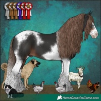 Horse Color:Liver Chestnut Splash Tobiano Frame 