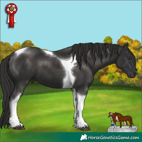 Horse Color:Liver Chestnut Tobiano 