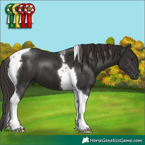 Horse Color:Liver Chestnut Tobiano 