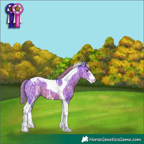 Horse Color:Watercolor Liver Chestnut Ice Sabino Tobiano Rabicano 