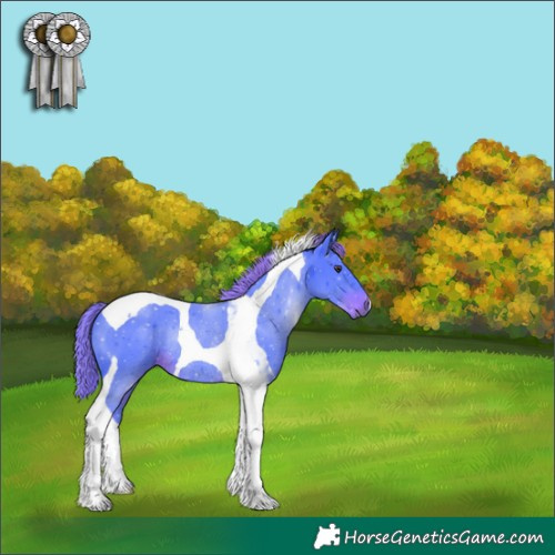 Horse Color:Watercolor Liver Chestnut Tobiano Rabicano 