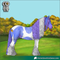Horse Color:Watercolor Liver Chestnut Tobiano Rabicano