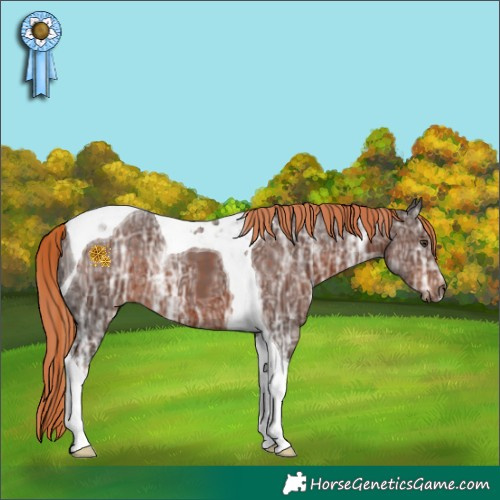 Horse Color:Liver Chestnut Ice Tobiano 
