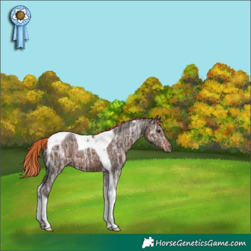 Horse Color:Liver Chestnut Ice Tobiano 