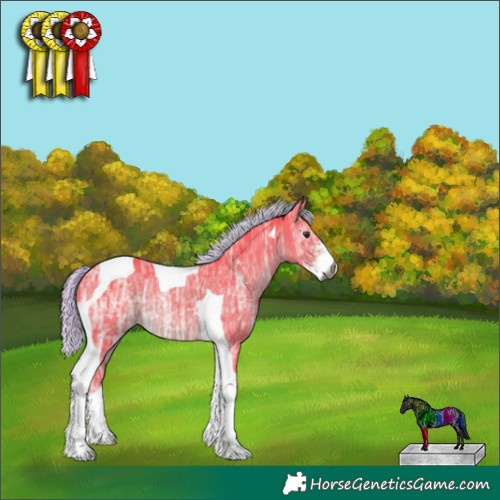 Horse Color:Gray Watercolor Liver Chestnut Ice Sabino Tobiano Rabicano 