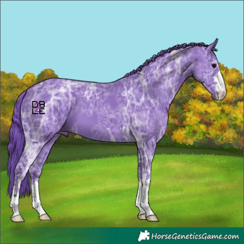 Horse Color:Watercolor Black Ice
