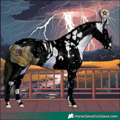 Horse Color:ERROR: UNKNOWN ANOMALY