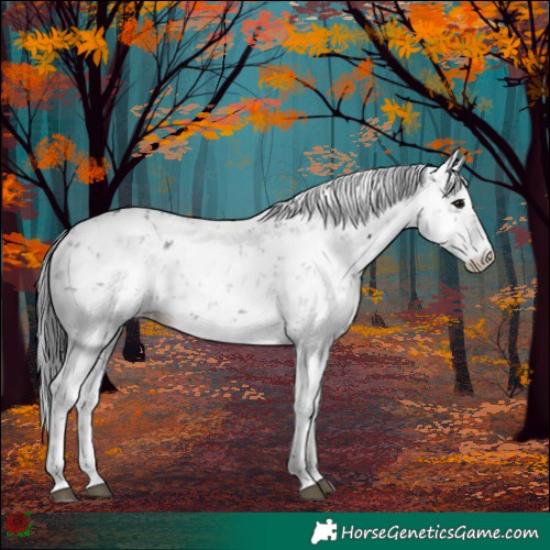 Horse Color:Brown Sabino Rabicano 