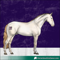 Horse Color:Buckskin Pearl Dun Sabino 