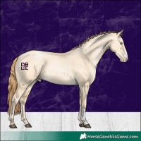 Horse Color:Buckskin Pearl Dun Sabino 
