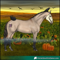 Horse Color:Bay Dun