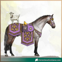 Horse Color:Gray Bay 