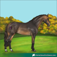 Horse Color:Buckskin Rabicano 
