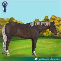 Horse Color:Silver Brown 
