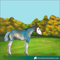 Horse Color:Painted Silver Brown Onyx Splash 