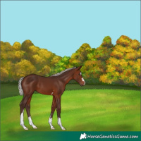 Horse Color:Silver Brown 