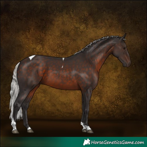 Horse Color:Silver Brown Tobiano 