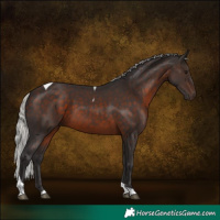 Horse Color:Silver Brown Tobiano 