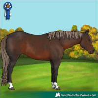 Horse Color:Liver Chestnut