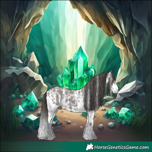 Horse Color:Grullo Sabino Appaloosa