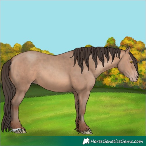 Horse Color:Sable Champagne 