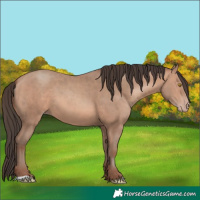 Horse Color:Sable Champagne 
