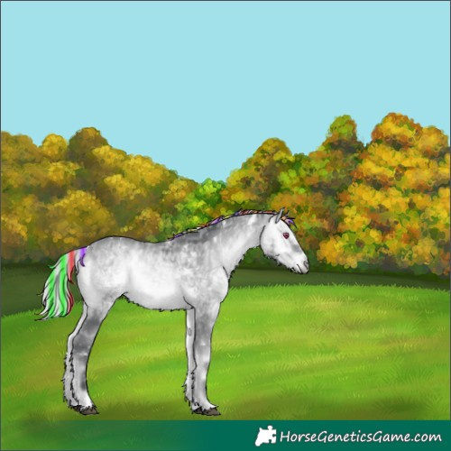 Horse Color:Painted White Spotted Silver Bay Chinchilla Ice Onyx 
