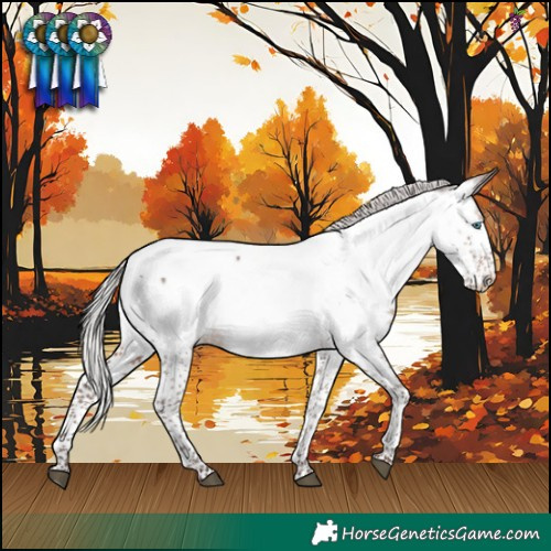 Horse Color:Silver Brown Splash Appaloosa 