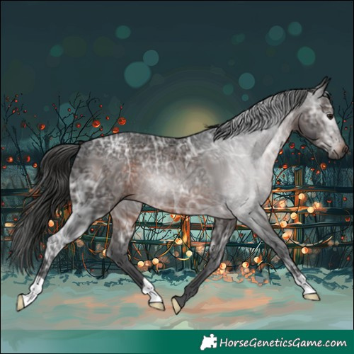 Horse Color:Gray Brown Ice