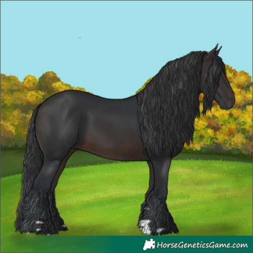 Horse Color:Brown 