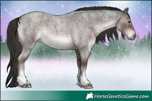 Horse Color:Platinum Liver Red Roan Tobiano Rabicano 