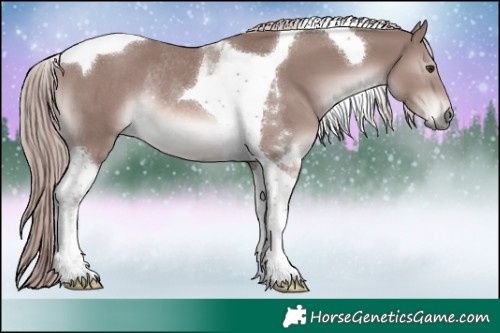 Horse Color:Platinum Chestnut Tobiano Rabicano 