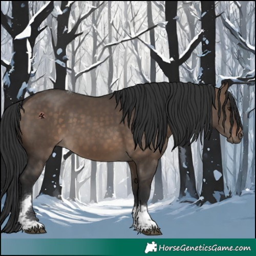 Horse Color:Brown Dun Tobiano