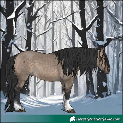 Horse Color:Brown Dun Tobiano