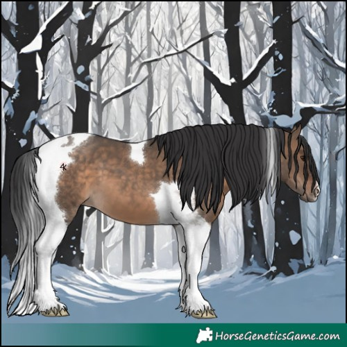 Horse Color:Brown Dun Tobiano