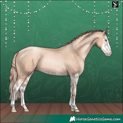 Horse Color:Gold Champagne Pearl Rabicano and Gold Champagne Pearl Splash Rabicano