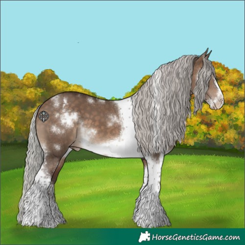 Horse Color:White Spotted Silver Brown Dun Tobiano Frame Varnish 