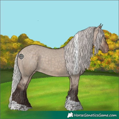 Horse Color:Silver Brown Dun Tobiano Appaloosa