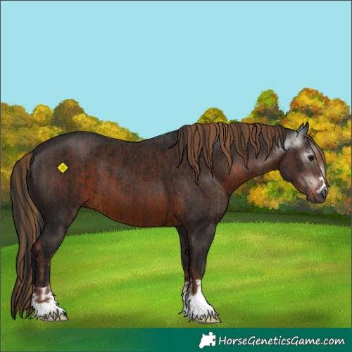 Horse Color:Gray Bay and Gray Liver Chestnut