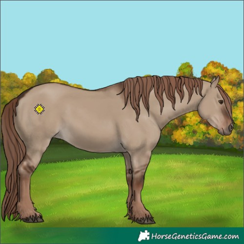 Horse Color:Liver Red Dun 