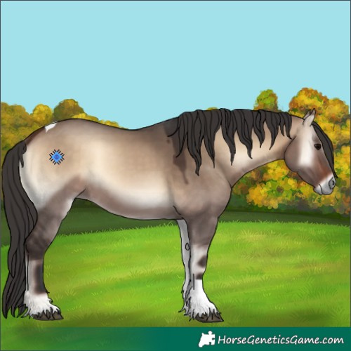 Horse Color:Bay Onyx Tobiano