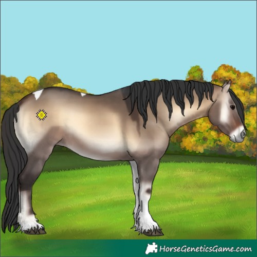 Horse Color:Brown Onyx Tobiano 