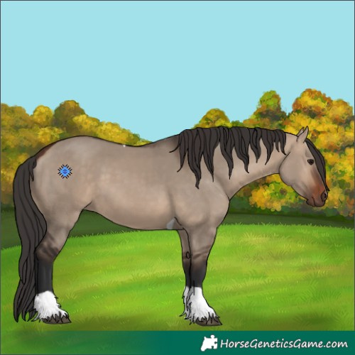 Horse Color:Bay Dun Tobiano Rabicano