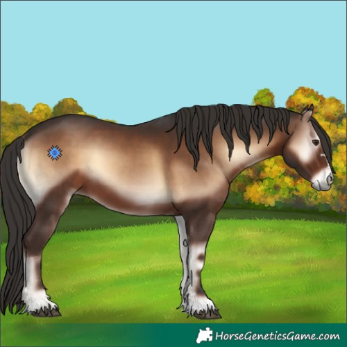 Horse Color:Liver Red Onyx