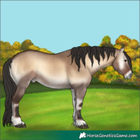 Horse Color:Liver Red Dun Onyx 